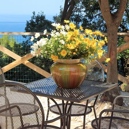 Vetta Marina - My Extra 아파트